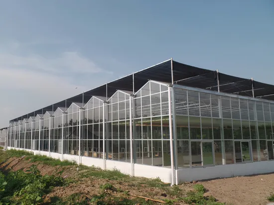 Estufa de policarbonato para telhado triangular agrícola com almofada de resfriamento e ventiladores