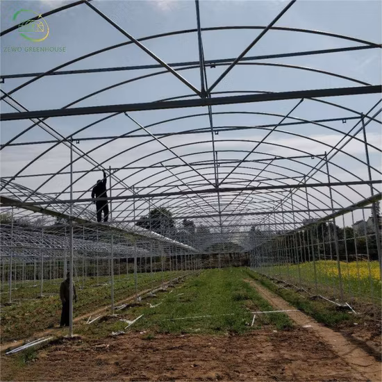 2023 Cultivo de baixo custo em estufa de filme plástico com cúpula única