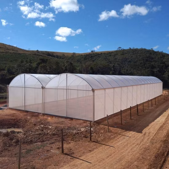 Estufa de filme Dome para vegetais/jardim