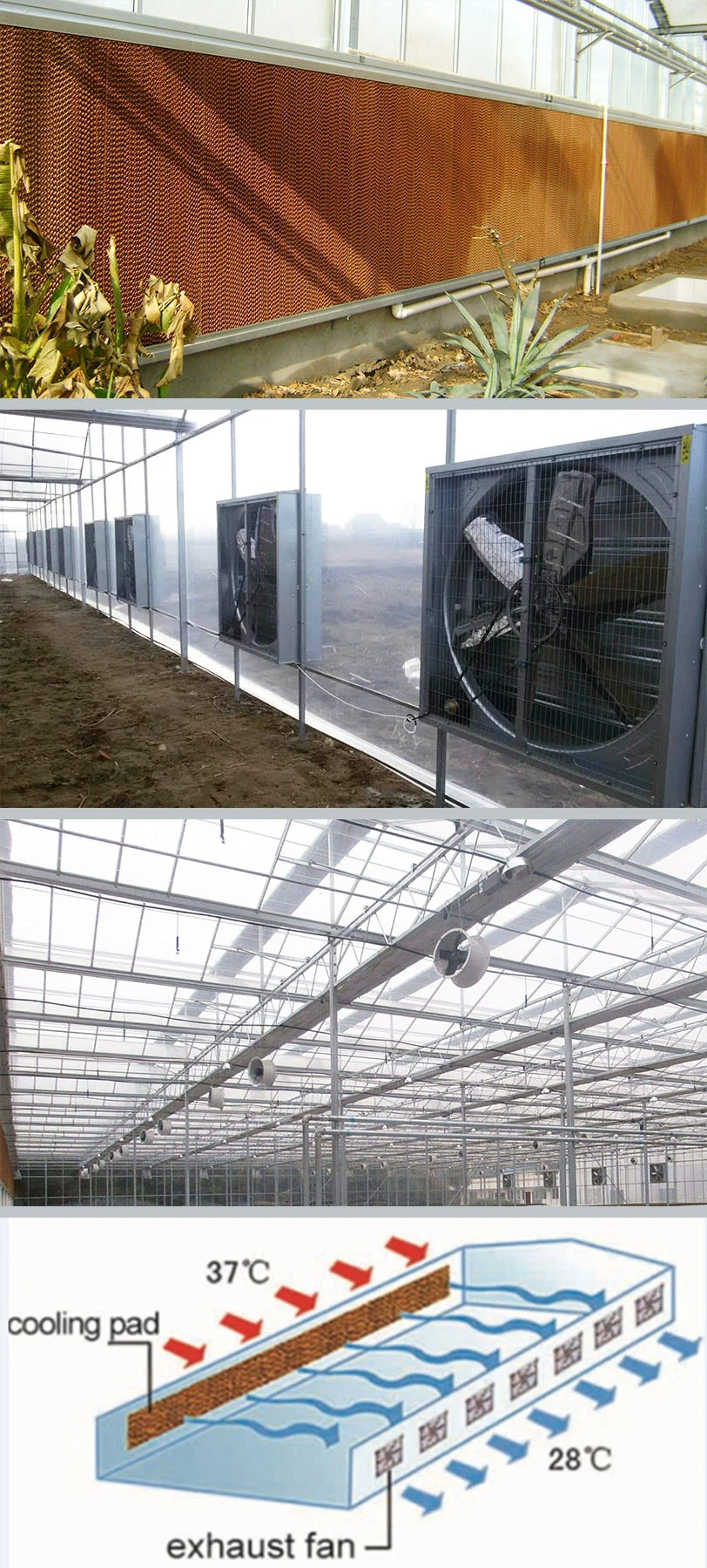 Agricultural Multi Span Po/PE Film Vegetable Greenhouse with Cooling System