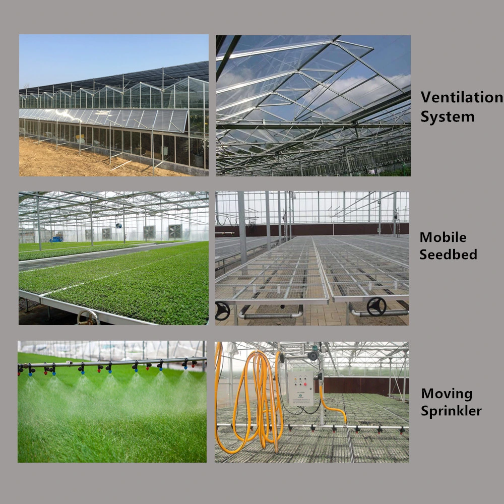 PE Film Tunnel Greenhouse for Vegetables Flowers Seed Nursery