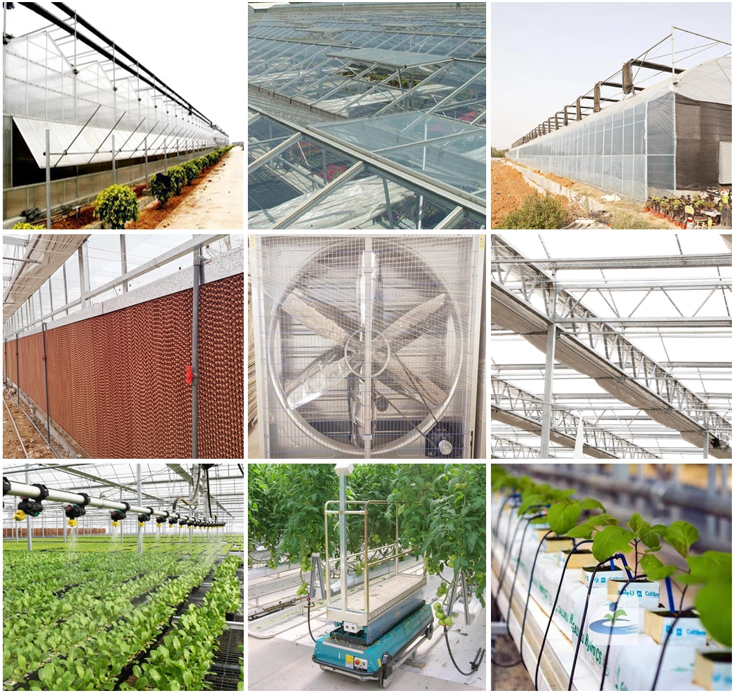 Factory Price Agriculture Greenhouse Multi-Span PC Sheet Polycarbonate Greenhouse Turnkey Project