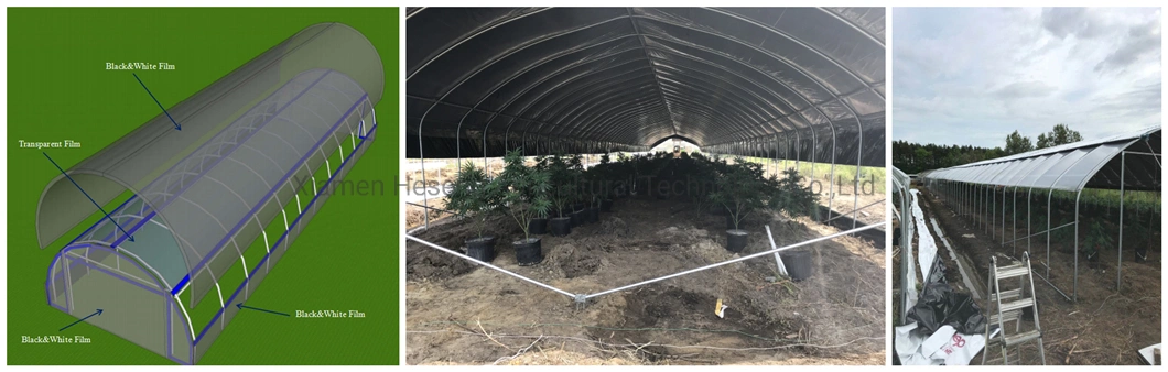 Tunnel Shape Arch Dome Hoop Greenhouse for Farm Planting