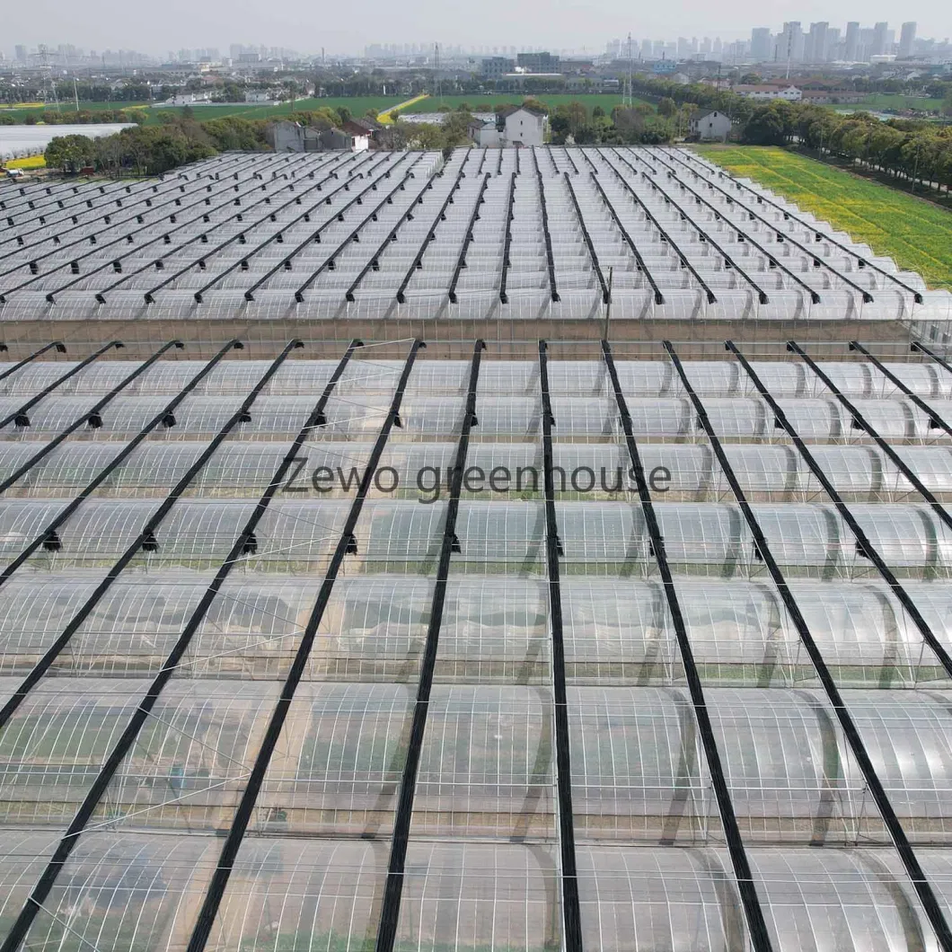 Frame Steel Galvanized Multi-Span/Plastic Film Greenhouse with Hydroponics Irrigation System for Strawberry/Flowers/Vegetables