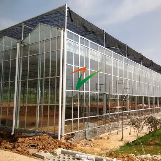 Casas verdes fabricam multi span tomate morango flor casa refrigeração irrigação crescer tenda estufa de vidro