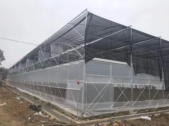 Trinog China fez estufa agrícola de filme plástico hidropônico multispan para fazenda comercial