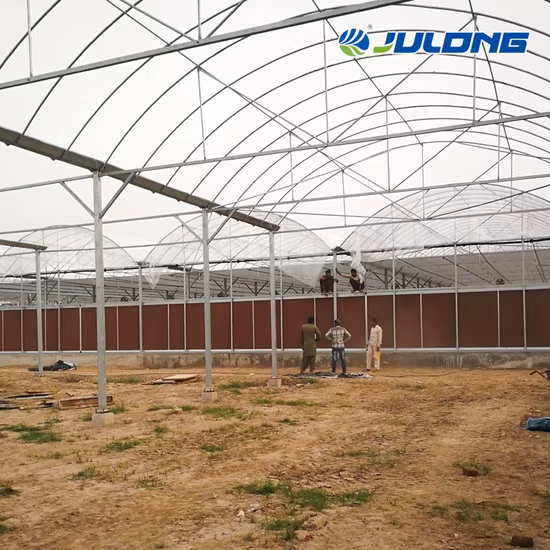 Estufa vegetal de filme agrícola Multi Span Po/PE com sistema de resfriamento