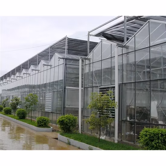 Preço de fábrica Agricultura Estufa Multi
