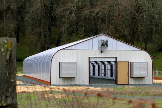 Estufa de arco de cúpula em forma de túnel para plantio agrícola