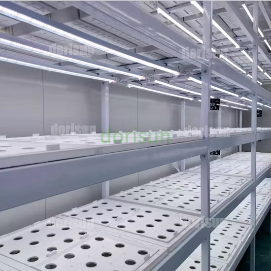 9600*650*2350mm Sistema de aquecimento e resfriamento de controle fácil Recipiente agrícola de estufas