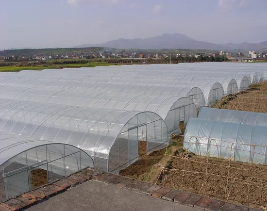 Estufa comercial mais barata de filme de cúpula de túnel de período único para vegetais