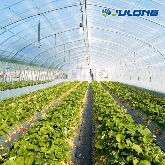 Preço barato Estrutura de estrutura de casa verde Cúpula Polytunnel Estufa