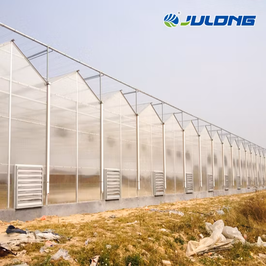 Estufa de folha de PC de Venlo para tubo de aço galvanizado para produtos de jardim